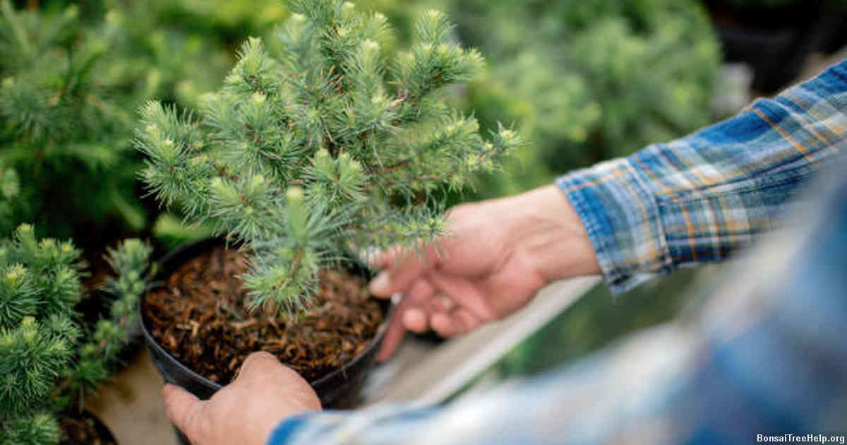 Addressing Watering Habits
