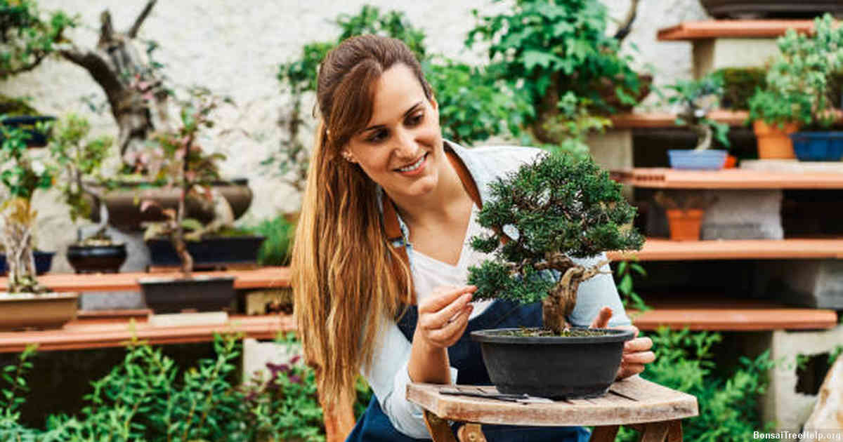 Choosing the Right Tools for Trimming Your Bonsai