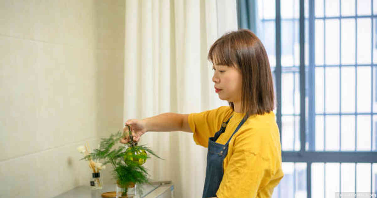 Common Mistakes to Avoid When Making Bonsai Soil at Home