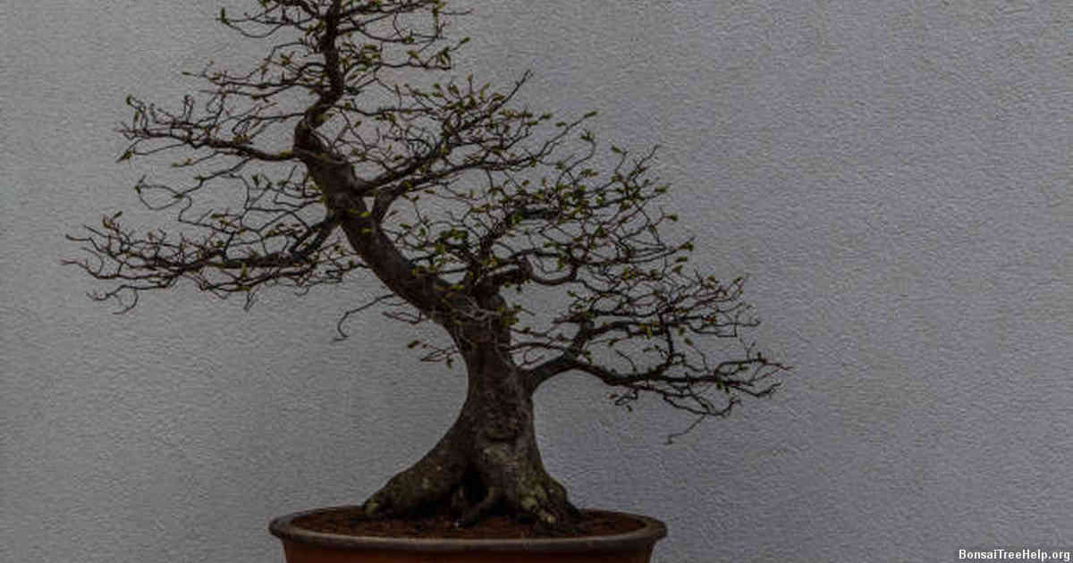 Controlling Humidity Levels