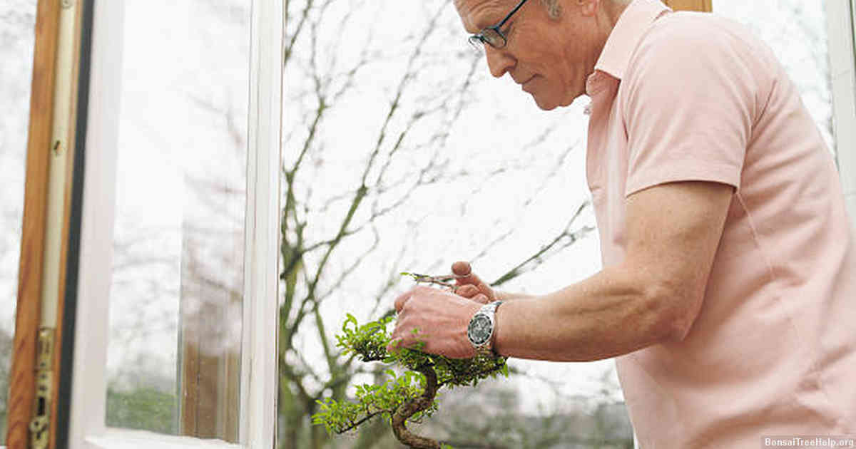 Fertilization and Nutrient Deficiency