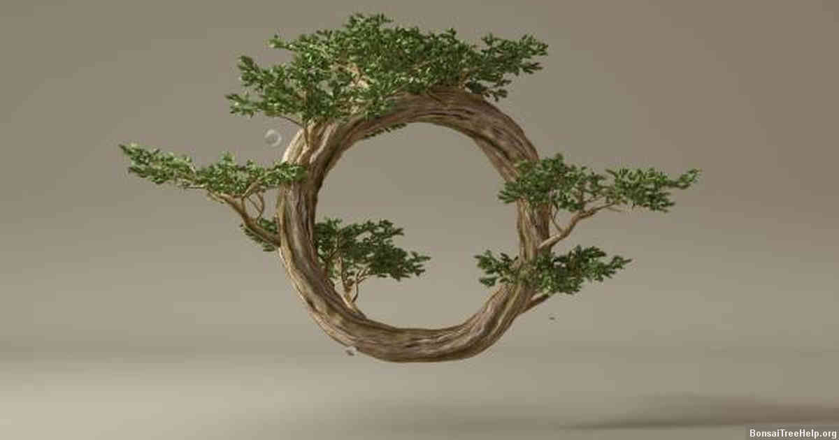 How do I care for a bonsai tree indoors?