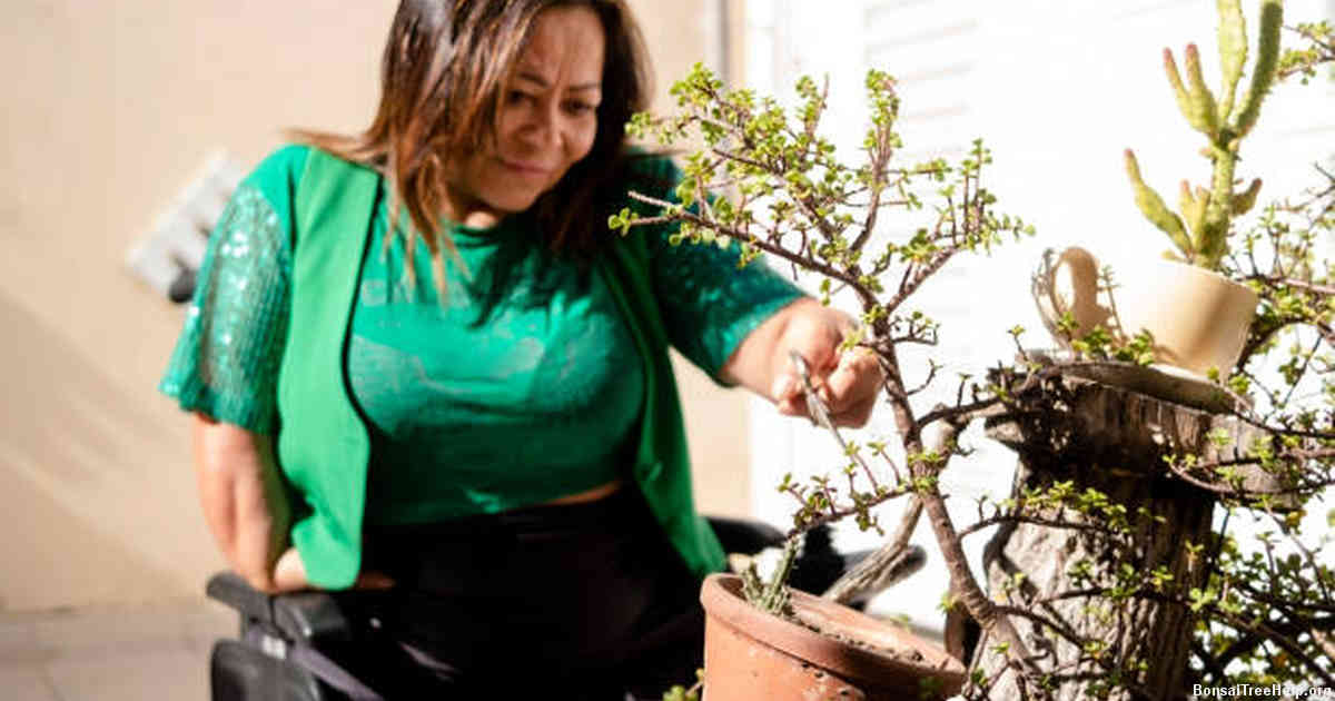 Is Epsom salt good for bonsai?