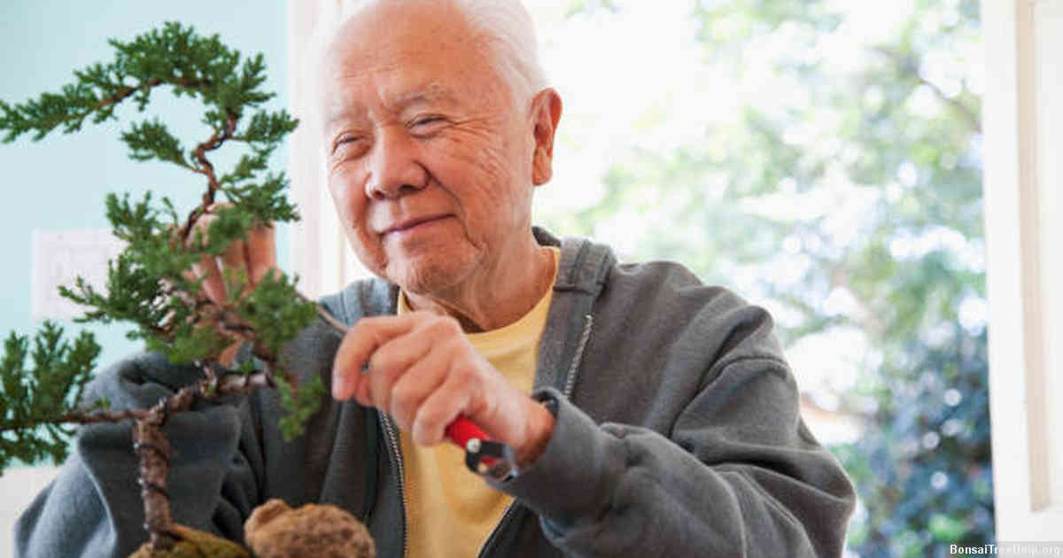 Pest Management