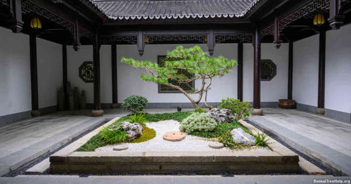 Potential Drawbacks of Having a Prickly Bonsai Tree