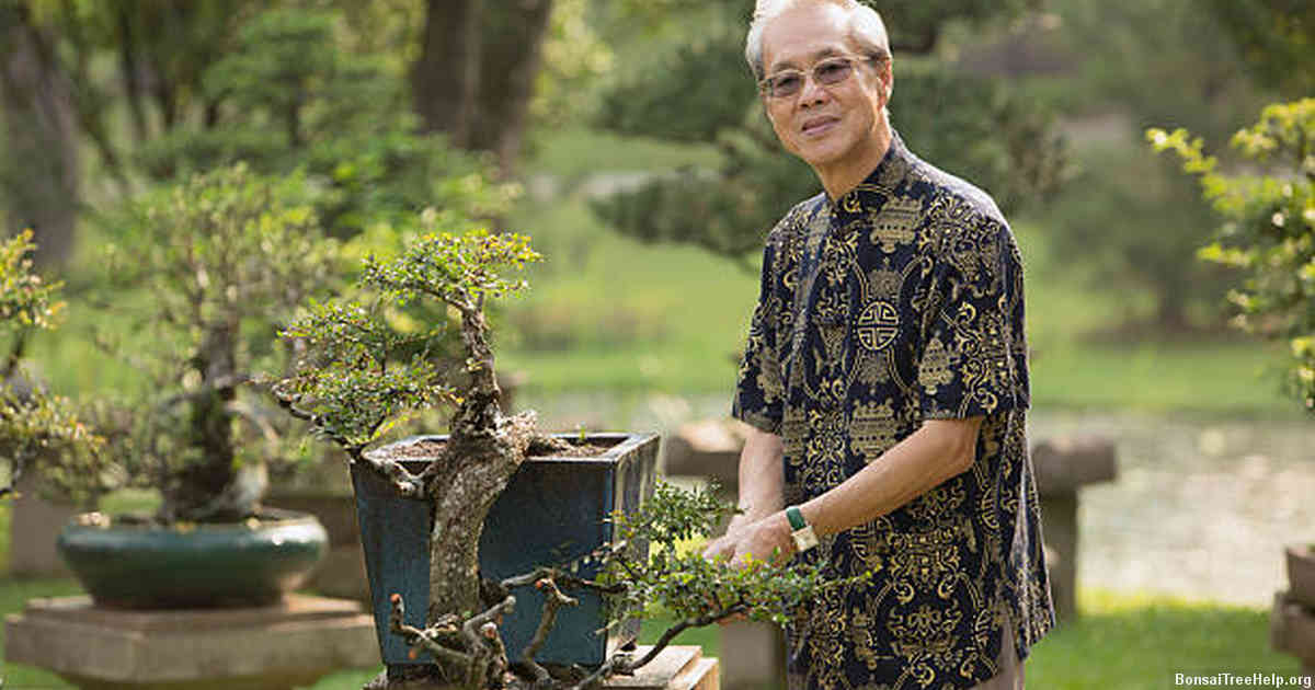 The Art Behind Growing and Maintaining Bonsai Trees