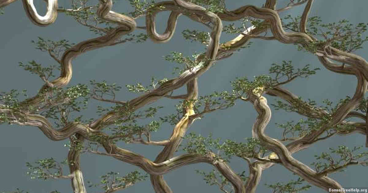 The Art of Making Bonsai Trees