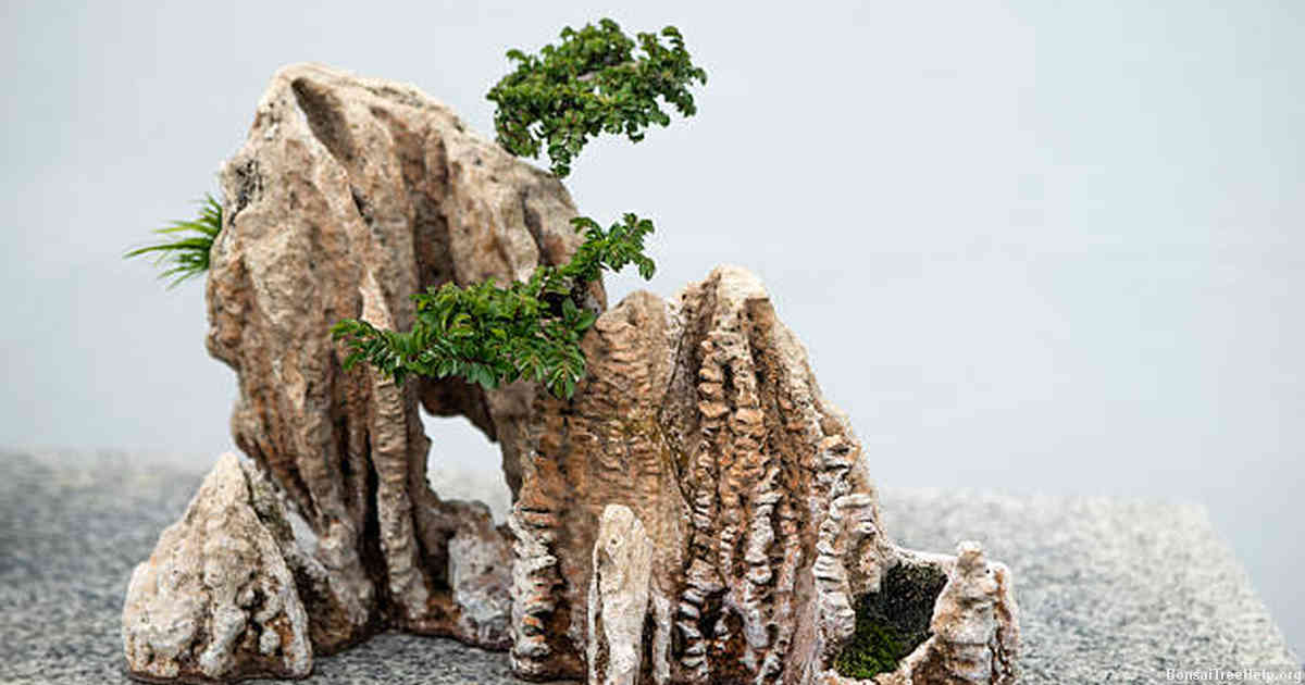 The Distinctive Look of an Amethyst Stone Bonsai Tree
