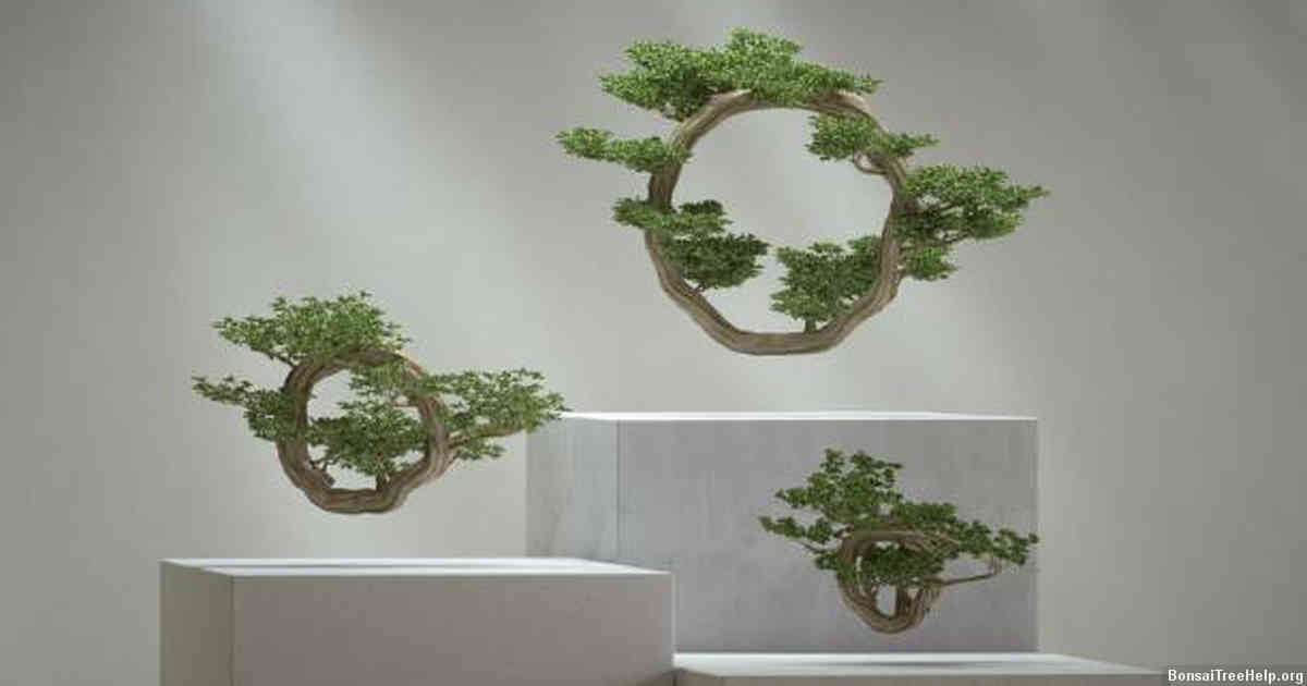 The Role of Sunlight in the Growth and Development of Bonsai Trees