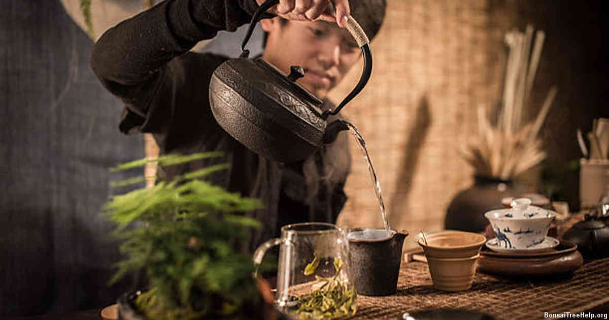 Troubleshooting Common Issues During Cultivation